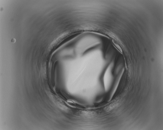 X0000062840442200601272020