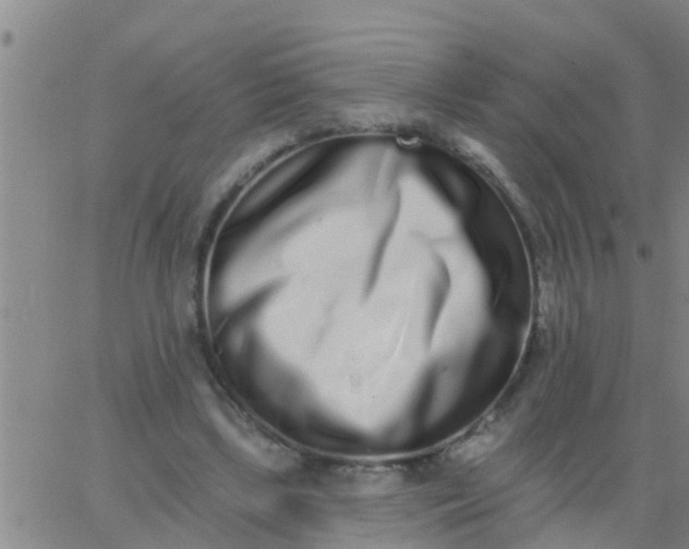 X0000062840443200601272020