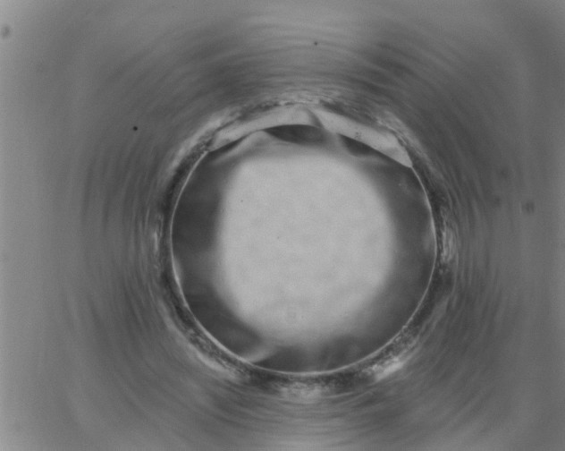 X0000062840444200601272020