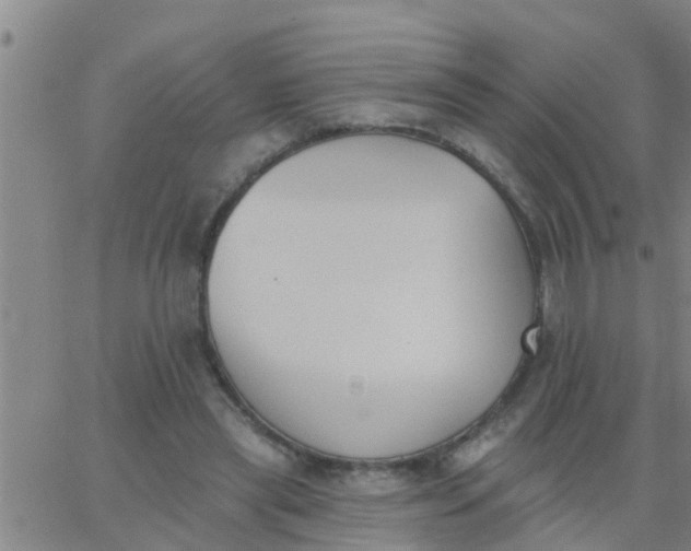 X0000062840445200601272020