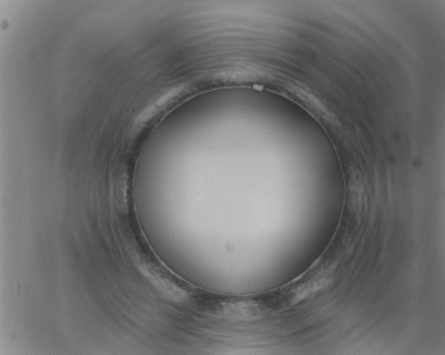 X0000062840446200601272020