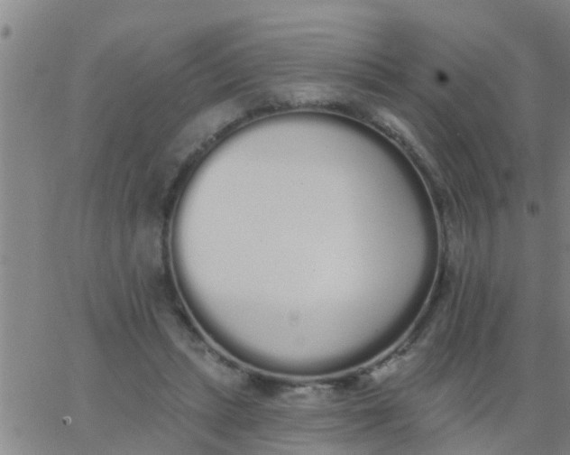 X0000062840447200601272020