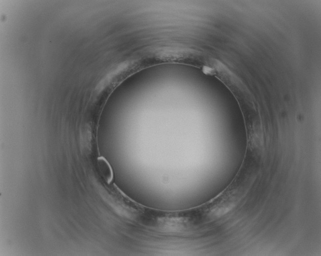 X0000062840448200601272020