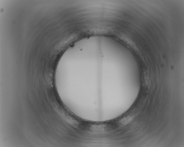 X0000062840450200601272020