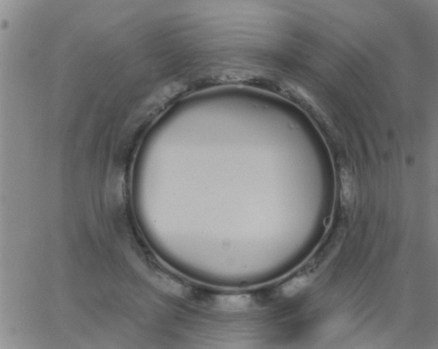 X0000062840451200601272020