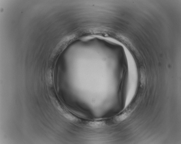 X0000062840453200601272020