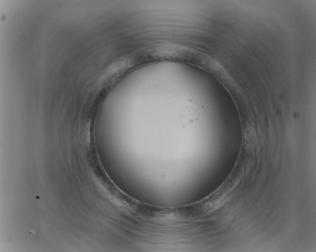 X0000062840454200601272020