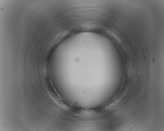 X0000062840455200601272020