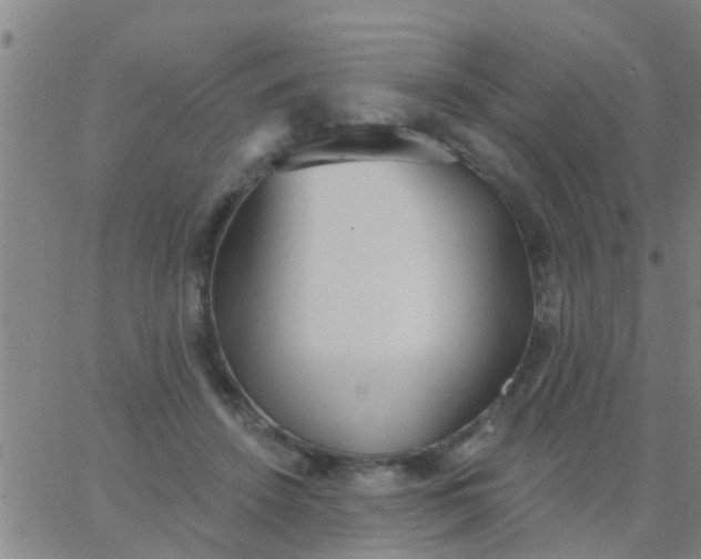 X0000062840456200601272020