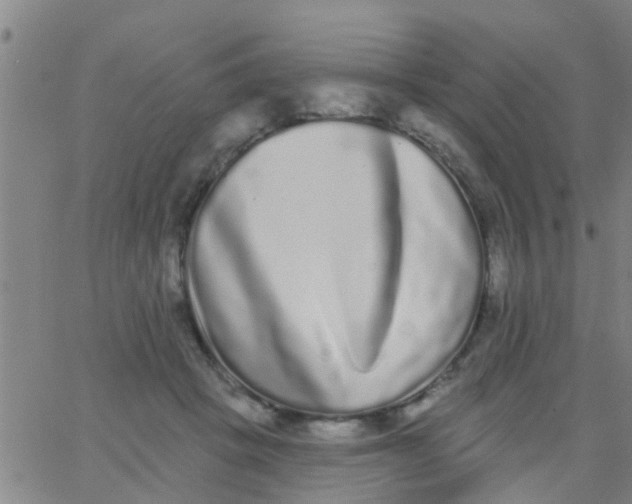 X0000062840457200601272020