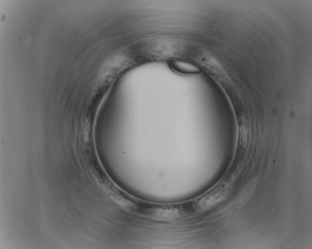 X0000062840458200601272020