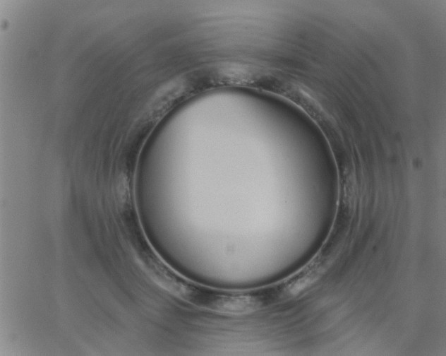 X0000062840459200601272020