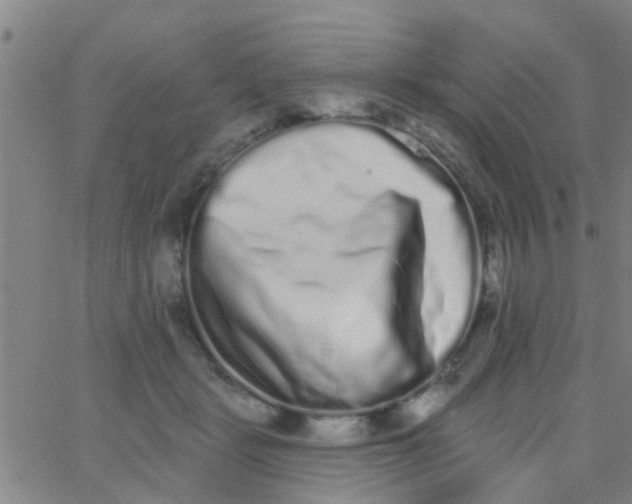 X0000062840461200601272020