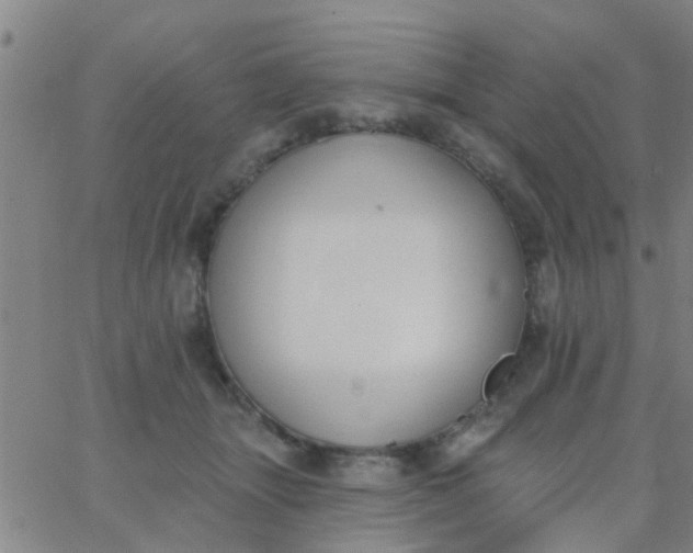 X0000062840463200601272020