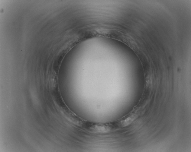 X0000062840464200601272020