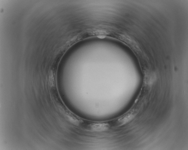 X0000062840465200601272020