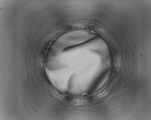 X0000062840466200601272020