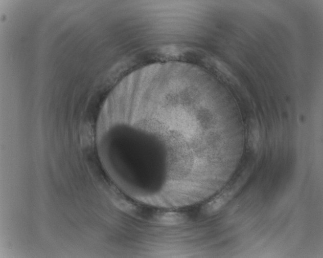 X0000062840467200601272020