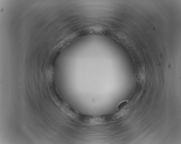 X0000062840468200601272020