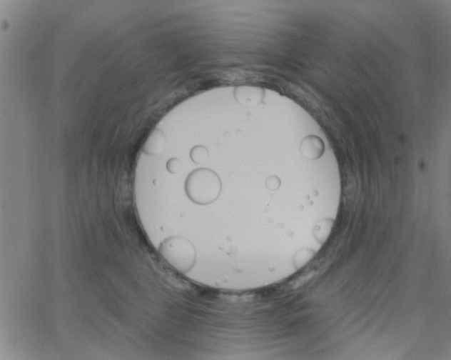 X0000062840469200601272021