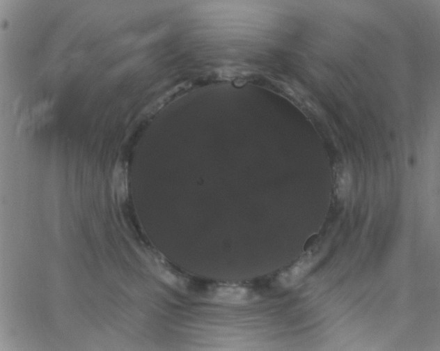 X0000062840471200601272021