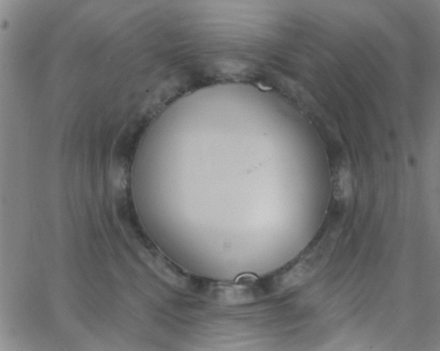 X0000062840472200601272021