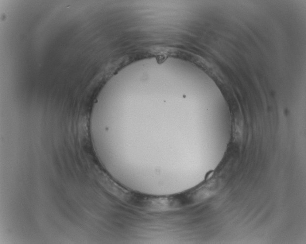 X0000062840473200601272021