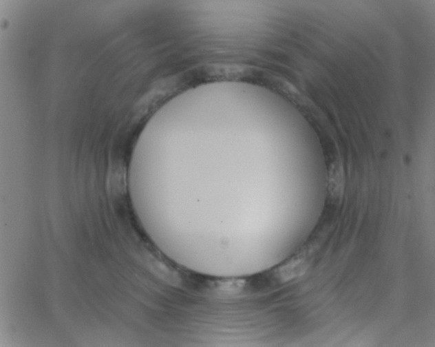 X0000062840474200601272021