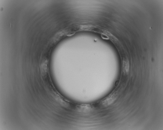 X0000062840475200601272021