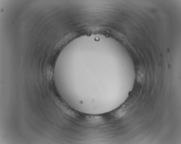 X0000062840476200601272021