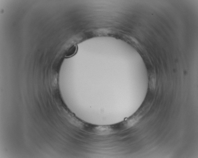 X0000062840477200601272021