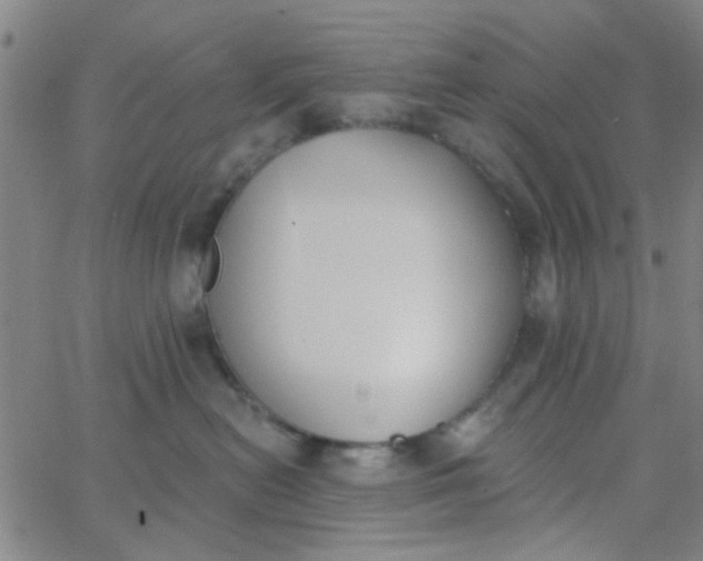 X0000062840478200601272021