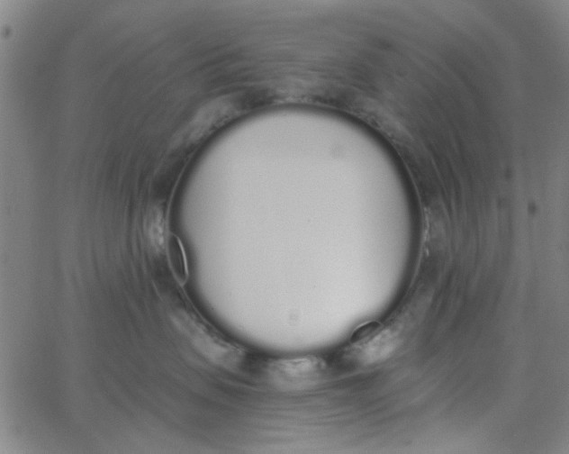 X0000062840479200601272021