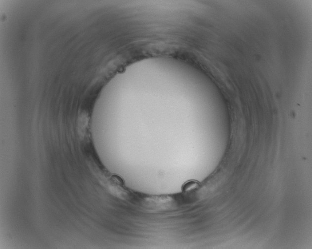 X0000062840480200601272021