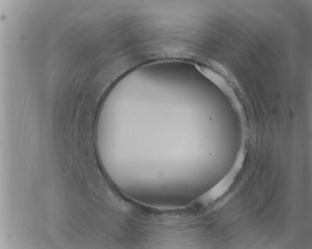 X0000062840481200601272020