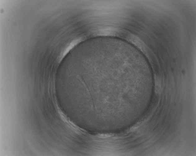 X0000062840482200601272020