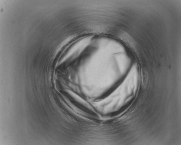 X0000062840483200601272020