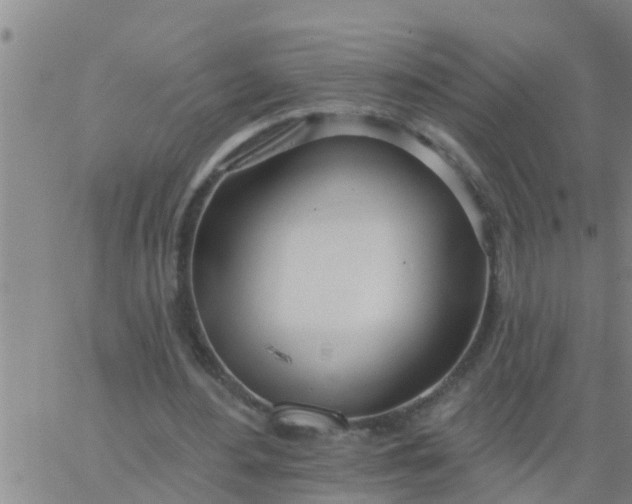 X0000062840484200601272020