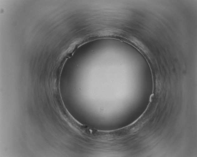 X0000062840485200601272020