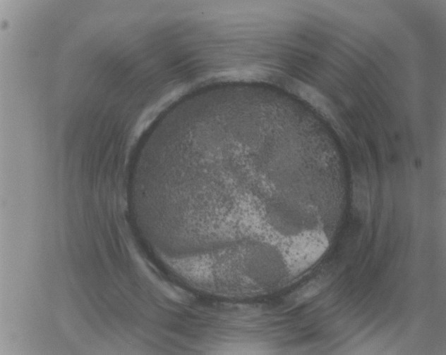 X0000062840486200601272020