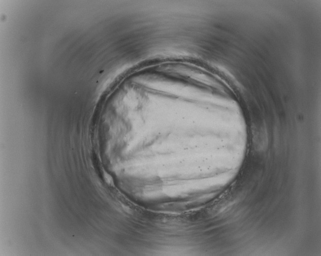 X0000062840487200601272020