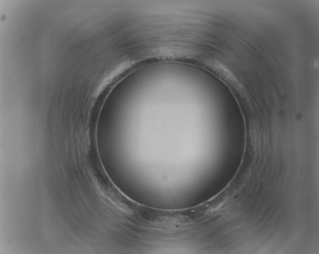 X0000062840488200601272020