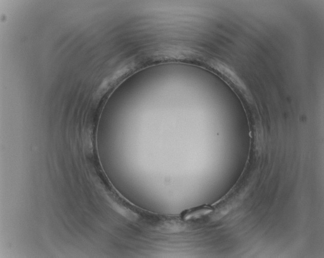 X0000062840489200601272020