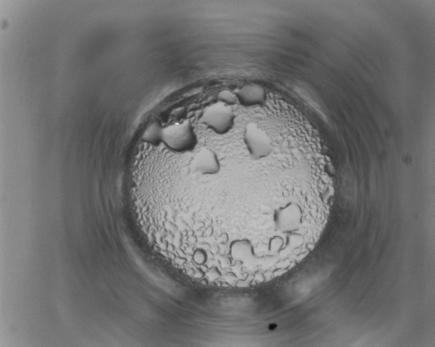 X0000062840491200601272020