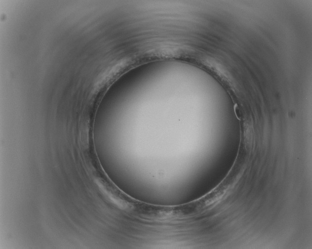 X0000062840493200601272020