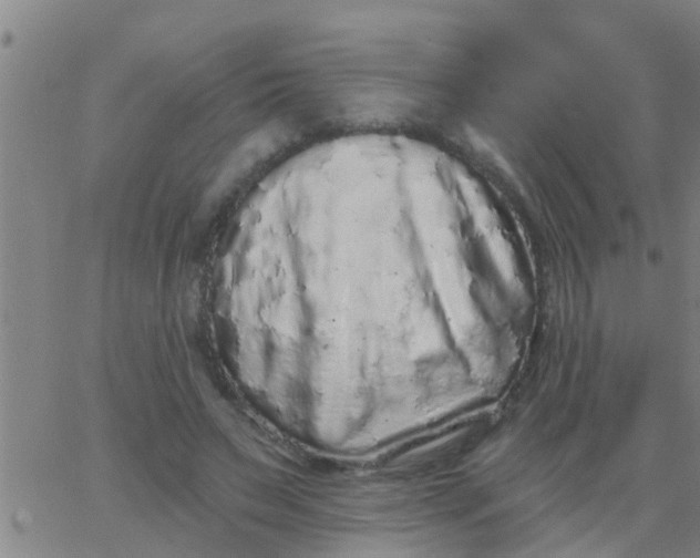 X0000062840495200601272020