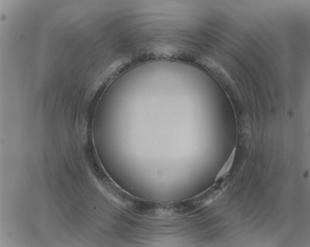 X0000062840496200601272020