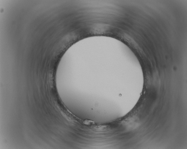 X0000062840497200601272020