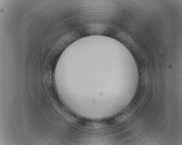 X0000062840498200601272020