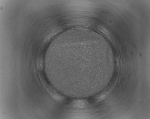 X0000062840499200601272020